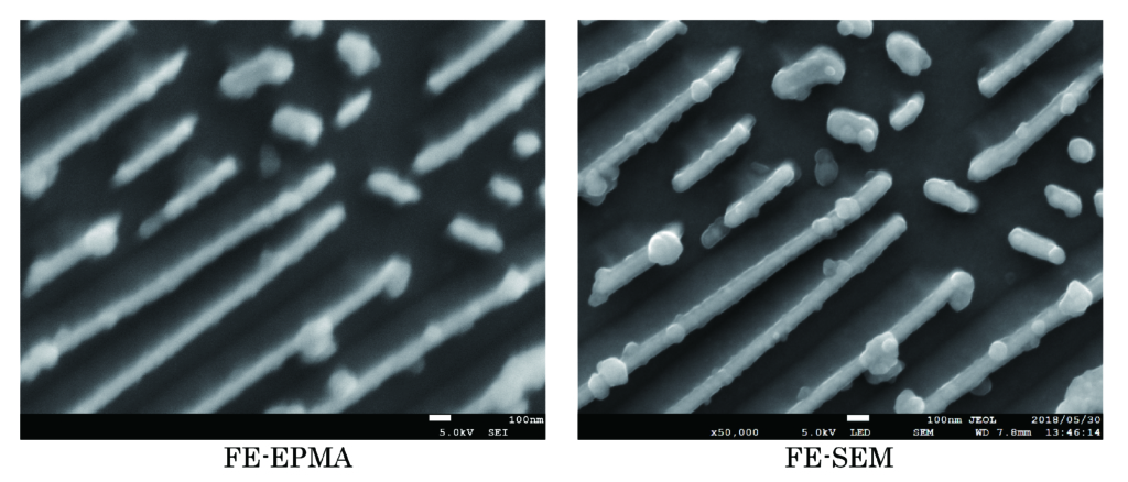 FE-EPMA と FE-SEM の二次電子像 (5kv、50,000 倍 ) 比較 