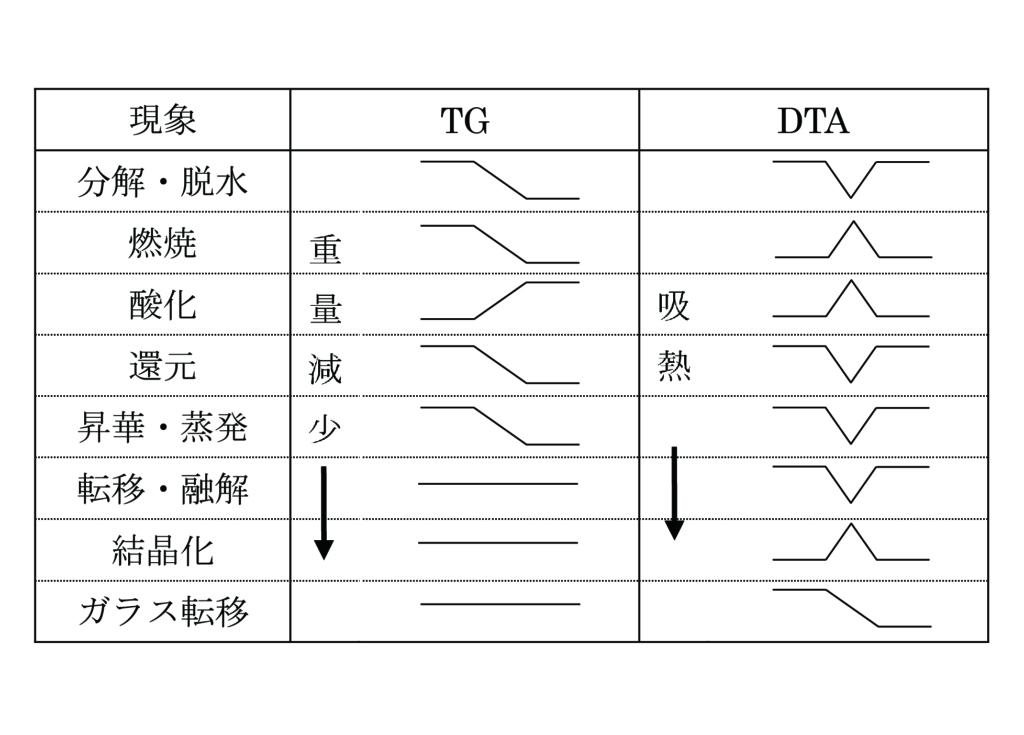TG-DTA 曲線モデルと熱変化 